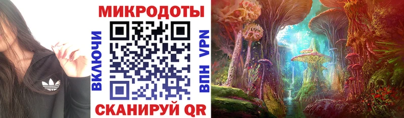 Псилоцибиновые грибы MAGIC MUSHROOMS  Купить закладки  Велиж 