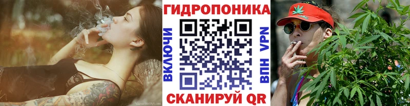 Бошки марихуана планчик  Купить закладки  Велиж 